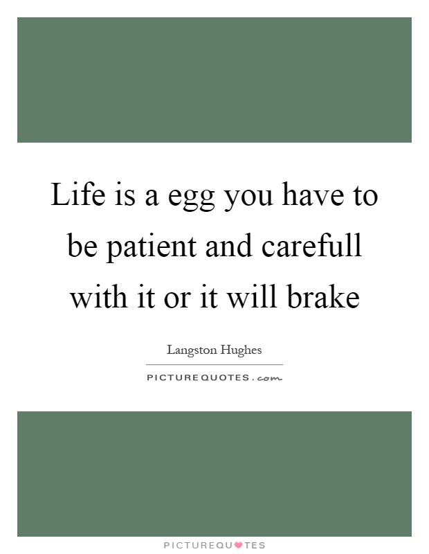 Life is a egg you have to be patient and carefull with it or it will brake Picture Quote #1