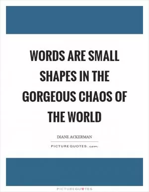 Words are small shapes in the gorgeous chaos of the world Picture Quote #1