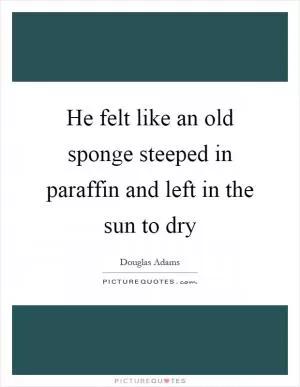 He felt like an old sponge steeped in paraffin and left in the sun to dry Picture Quote #1