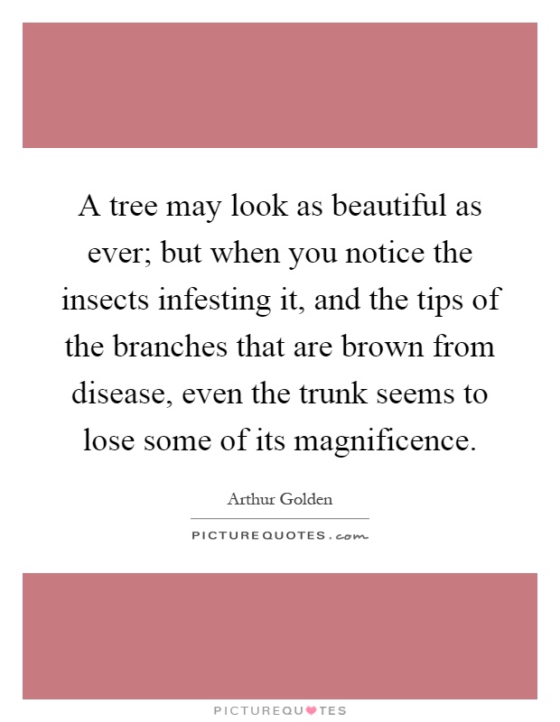 A tree may look as beautiful as ever; but when you notice the insects infesting it, and the tips of the branches that are brown from disease, even the trunk seems to lose some of its magnificence Picture Quote #1