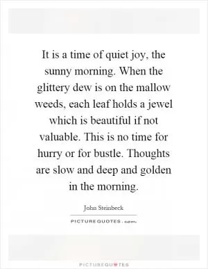 It is a time of quiet joy, the sunny morning. When the glittery dew is on the mallow weeds, each leaf holds a jewel which is beautiful if not valuable. This is no time for hurry or for bustle. Thoughts are slow and deep and golden in the morning Picture Quote #1