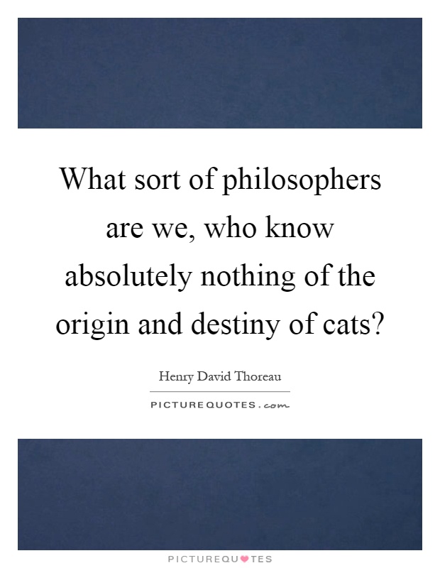 What sort of philosophers are we, who know absolutely nothing of the origin and destiny of cats? Picture Quote #1