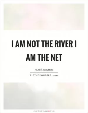I am not the river I am the net Picture Quote #1
