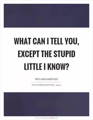 What can I tell you, except the stupid little I know? Picture Quote #1