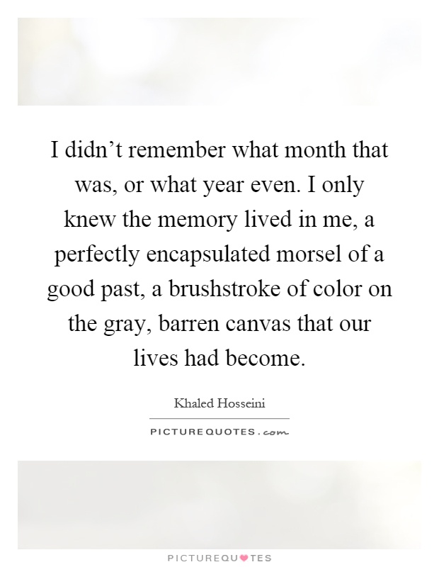 I didn't remember what month that was, or what year even. I only knew the memory lived in me, a perfectly encapsulated morsel of a good past, a brushstroke of color on the gray, barren canvas that our lives had become Picture Quote #1