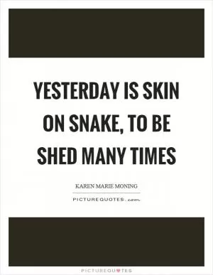 Yesterday is skin on snake, to be shed many times Picture Quote #1
