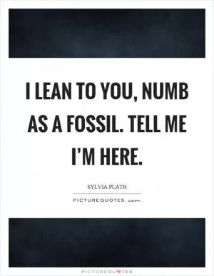 I lean to you, numb as a fossil. Tell me I’m here Picture Quote #1