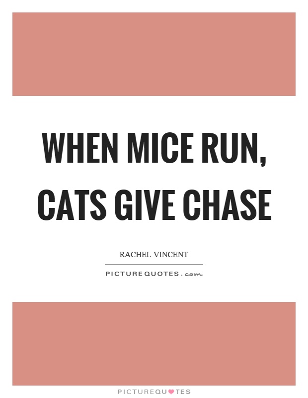 When mice run, cats give chase Picture Quote #1