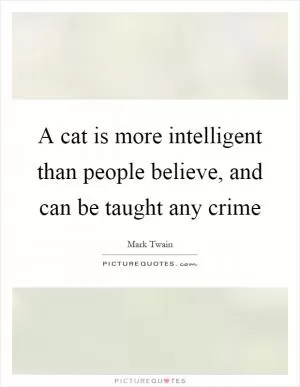 A cat is more intelligent than people believe, and can be taught any crime Picture Quote #1