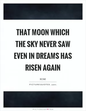 That moon which the sky never saw even in dreams has risen again Picture Quote #1