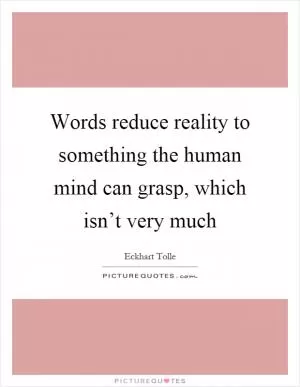 Words reduce reality to something the human mind can grasp, which isn’t very much Picture Quote #1