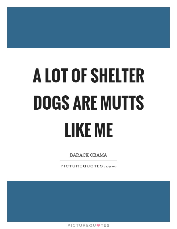 A lot of shelter dogs are mutts like me Picture Quote #1