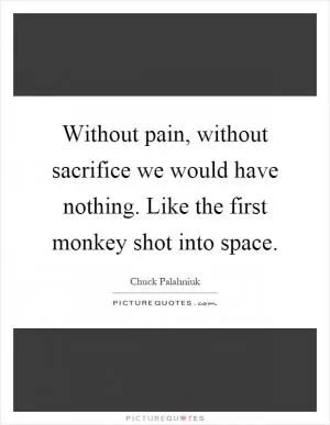 Without pain, without sacrifice we would have nothing. Like the first monkey shot into space Picture Quote #1