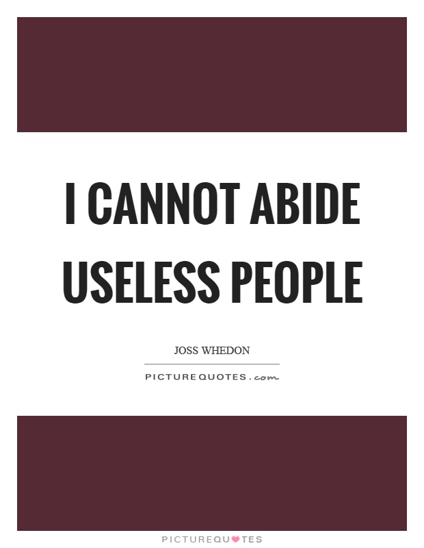 I cannot abide useless people Picture Quote #1
