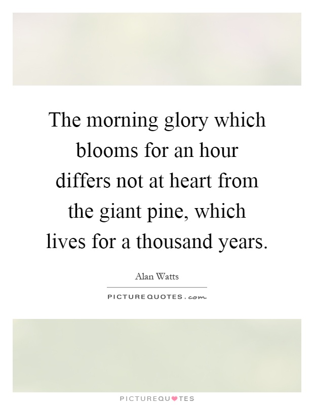 The morning glory which blooms for an hour differs not at heart from the giant pine, which lives for a thousand years Picture Quote #1
