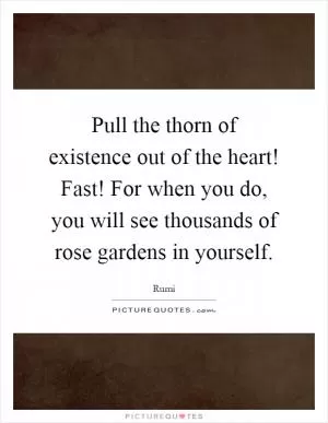 Pull the thorn of existence out of the heart! Fast! For when you do, you will see thousands of rose gardens in yourself Picture Quote #1