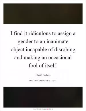 I find it ridiculous to assign a gender to an inanimate object incapable of disrobing and making an occasional fool of itself Picture Quote #1