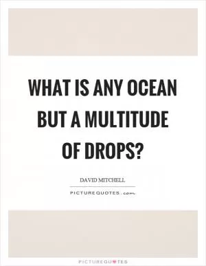 What is any ocean but a multitude of drops? Picture Quote #1