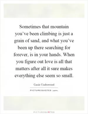 Sometimes that mountain you’ve been climbing is just a grain of sand, and what you’ve been up there searching for forever, is in your hands. When you figure out love is all that matters after all it sure makes everything else seem so small Picture Quote #1