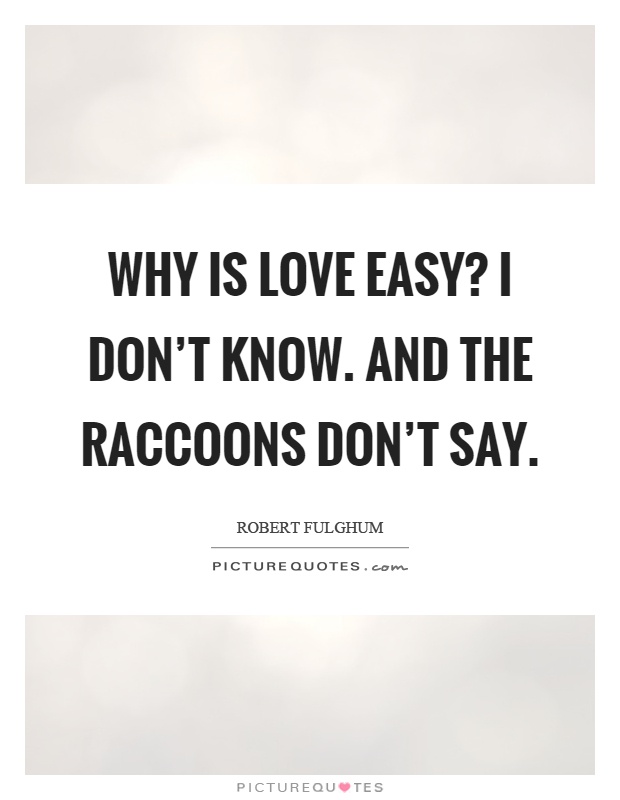 Why is love easy? I don't know. And the raccoons don't say Picture Quote #1