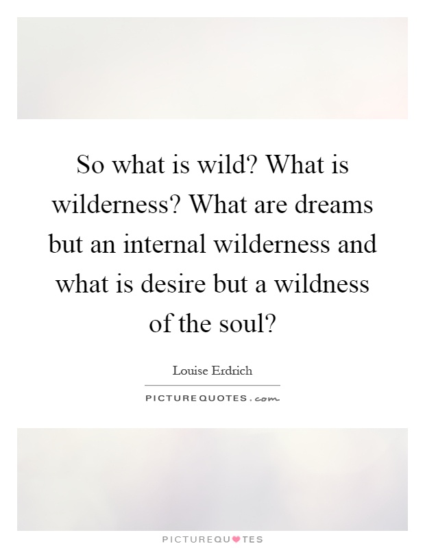 So what is wild? What is wilderness? What are dreams but an internal wilderness and what is desire but a wildness of the soul? Picture Quote #1