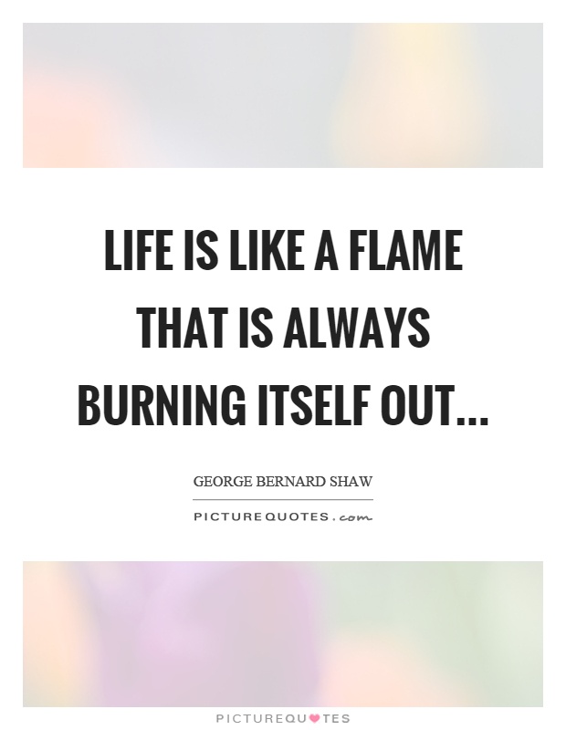Life is like a flame that is always burning itself out Picture Quote #1
