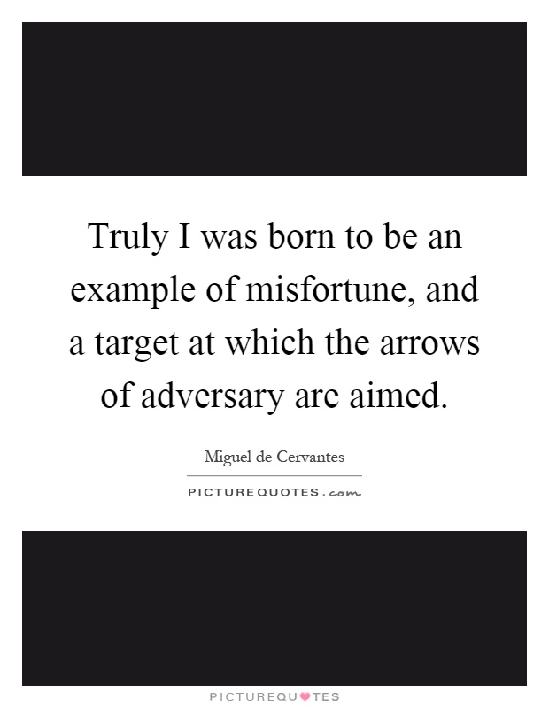 Truly I was born to be an example of misfortune, and a target at which the arrows of adversary are aimed Picture Quote #1