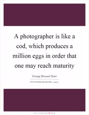 A photographer is like a cod, which produces a million eggs in order that one may reach maturity Picture Quote #1