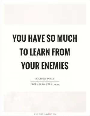 You have so much to learn from your enemies Picture Quote #1