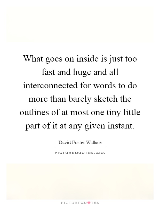 What goes on inside is just too fast and huge and all interconnected for words to do more than barely sketch the outlines of at most one tiny little part of it at any given instant Picture Quote #1