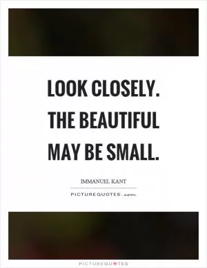 Look closely. The beautiful may be small Picture Quote #1