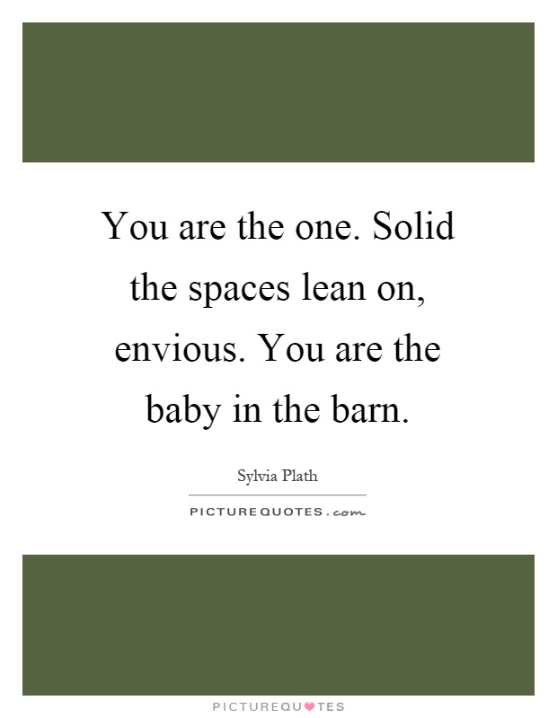 You are the one. Solid the spaces lean on, envious. You are the baby in the barn Picture Quote #1