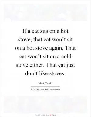 If a cat sits on a hot stove, that cat won’t sit on a hot stove again. That cat won’t sit on a cold stove either. That cat just don’t like stoves Picture Quote #1