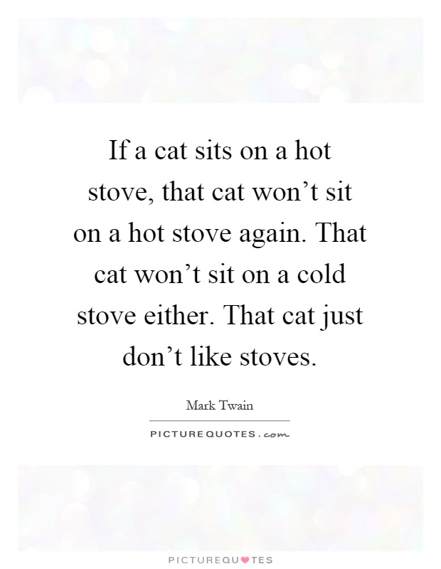 If a cat sits on a hot stove, that cat won't sit on a hot stove again. That cat won't sit on a cold stove either. That cat just don't like stoves Picture Quote #1