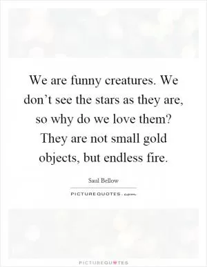 We are funny creatures. We don’t see the stars as they are, so why do we love them? They are not small gold objects, but endless fire Picture Quote #1
