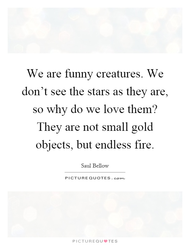 We are funny creatures. We don't see the stars as they are, so why do we love them? They are not small gold objects, but endless fire Picture Quote #1