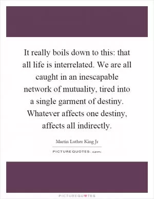 It really boils down to this: that all life is interrelated. We are all caught in an inescapable network of mutuality, tired into a single garment of destiny. Whatever affects one destiny, affects all indirectly Picture Quote #1