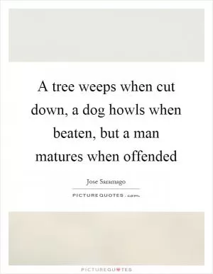 A tree weeps when cut down, a dog howls when beaten, but a man matures when offended Picture Quote #1