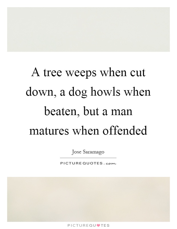 A tree weeps when cut down, a dog howls when beaten, but a man matures when offended Picture Quote #1