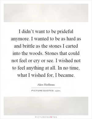 I didn’t want to be prideful anymore. I wanted to be as hard as and brittle as the stones I carted into the woods. Stones that could not feel or cry or see. I wished not to feel anything at all. In no time, what I wished for, I became Picture Quote #1