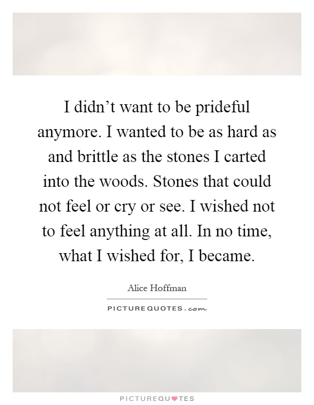 I didn't want to be prideful anymore. I wanted to be as hard as and brittle as the stones I carted into the woods. Stones that could not feel or cry or see. I wished not to feel anything at all. In no time, what I wished for, I became Picture Quote #1