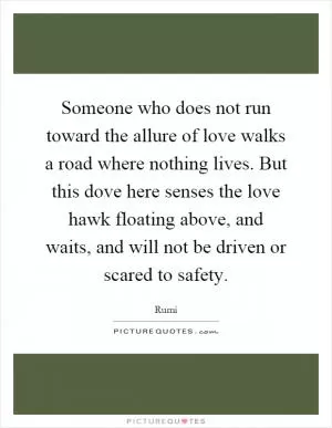 Someone who does not run toward the allure of love walks a road where nothing lives. But this dove here senses the love hawk floating above, and waits, and will not be driven or scared to safety Picture Quote #1