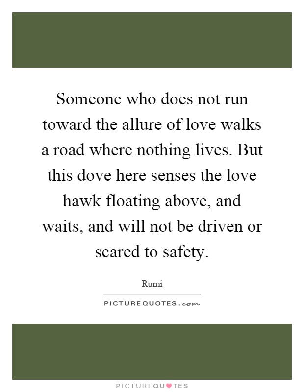 Someone who does not run toward the allure of love walks a road where nothing lives. But this dove here senses the love hawk floating above, and waits, and will not be driven or scared to safety Picture Quote #1