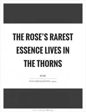The rose’s rarest essence lives in the thorns Picture Quote #1