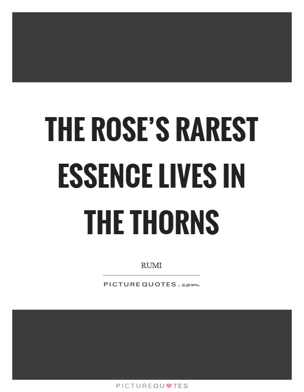 The rose's rarest essence lives in the thorns Picture Quote #1