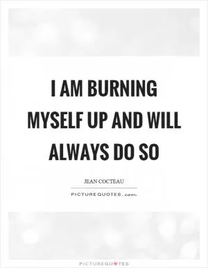 I am burning myself up and will always do so Picture Quote #1