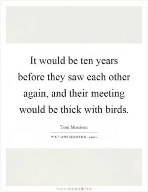 It would be ten years before they saw each other again, and their meeting would be thick with birds Picture Quote #1