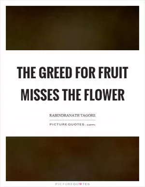 The greed for fruit misses the flower Picture Quote #1