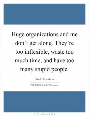 Huge organizations and me don’t get along. They’re too inflexible, waste too much time, and have too many stupid people Picture Quote #1