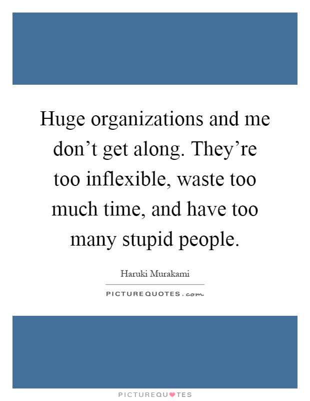 Huge organizations and me don't get along. They're too inflexible, waste too much time, and have too many stupid people Picture Quote #1
